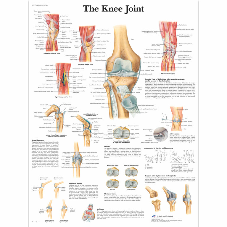 CHART KNEE INJURIES