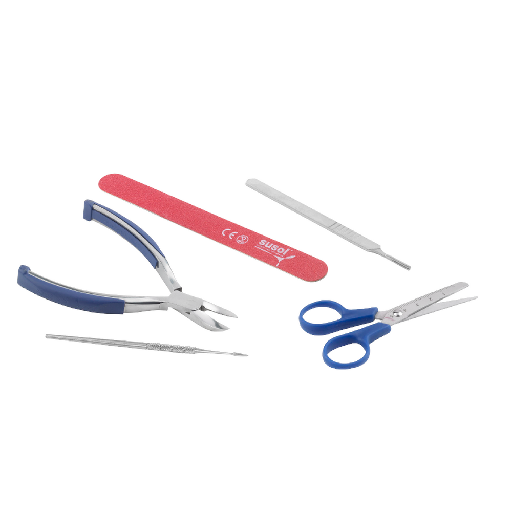 A set of pedicure and nail care tools on a plain white background, including blue-handled nail clippers, a red nail file, metal cuticle tools, and small scissors.