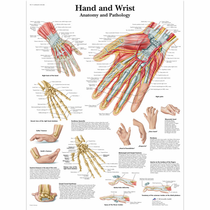 All Charts Supplier for Medical Professionals NZ | Whiteley Allcare ...